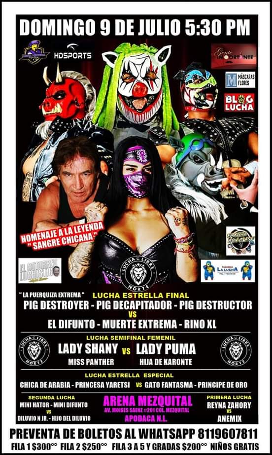 Gato Fantasma Arena Mezquital