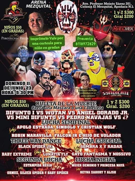 Gato Fantazma Arena Mezquital